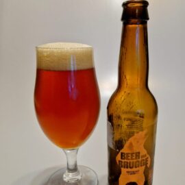 Beer van Brugge